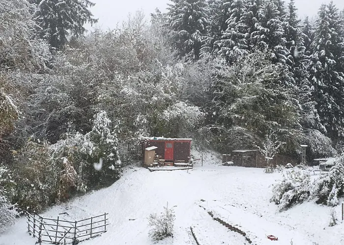 Gemuedlicher Bauwagen Rueckzugsort In Der Natur